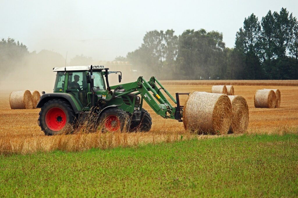 harvest, straw, hay-4415809.jpg